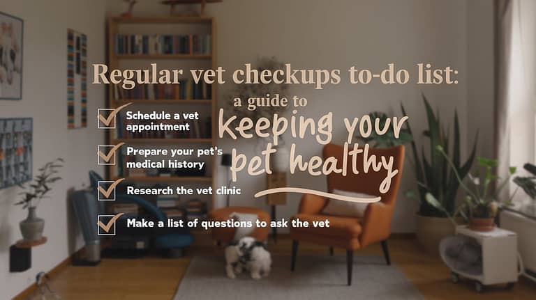 Regular Vet Checkups To-Do List