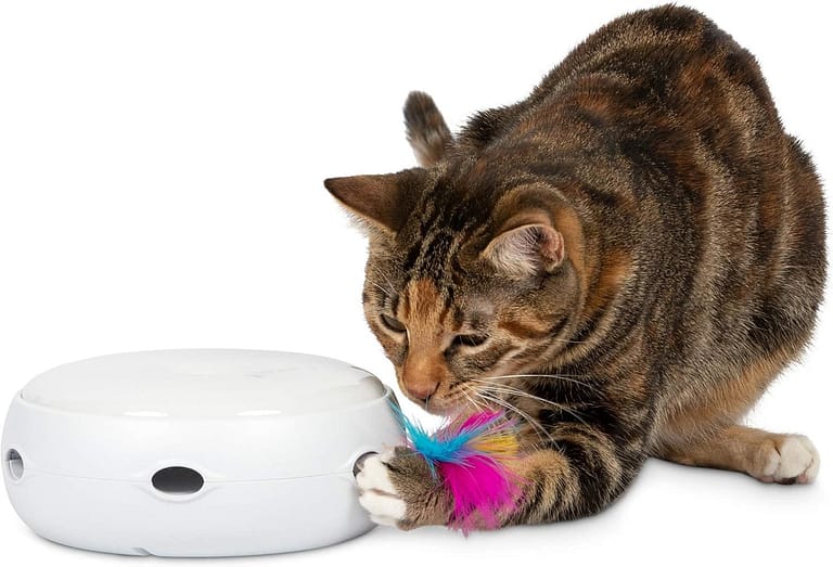 PetFusion Ambush Interactive Cat Toys Review